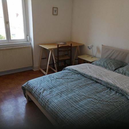 Appartement Entier, Proche Tram-Train Et Commodites, Parking Gratuit Mulhouse Exteriör bild