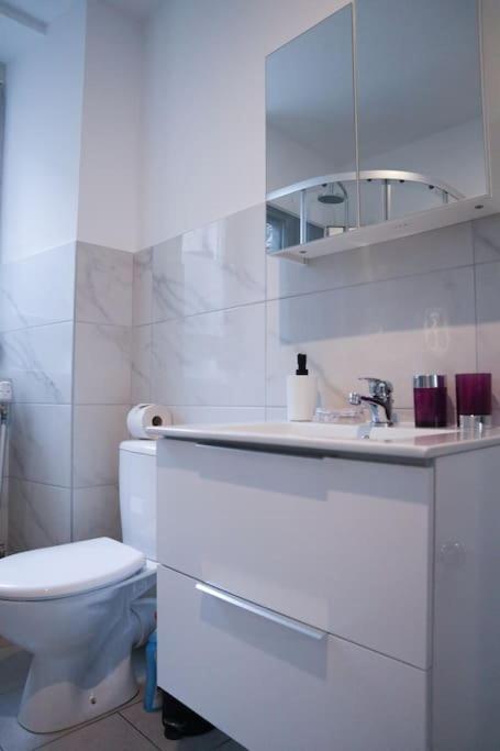 Appartement Entier, Proche Tram-Train Et Commodites, Parking Gratuit Mulhouse Exteriör bild