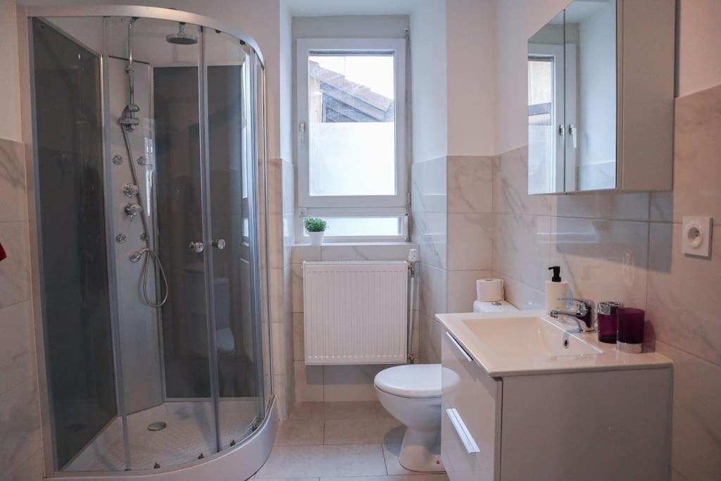 Appartement Entier, Proche Tram-Train Et Commodites, Parking Gratuit Mulhouse Exteriör bild